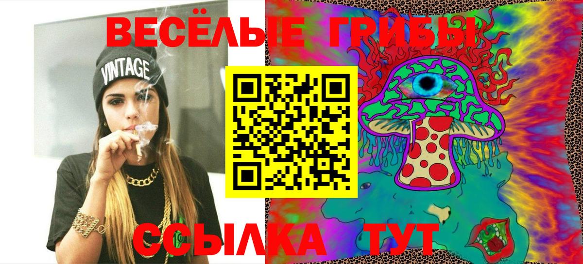 Псилоцибиновые грибы Луга