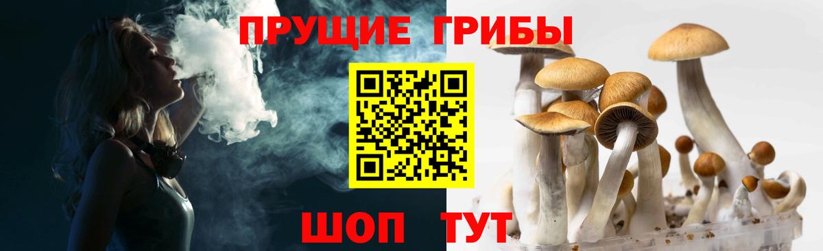 Луга  Псилоцибиновые грибы мухоморы  Псилоцибиновые грибы Psilocybe  Вход с VPN 